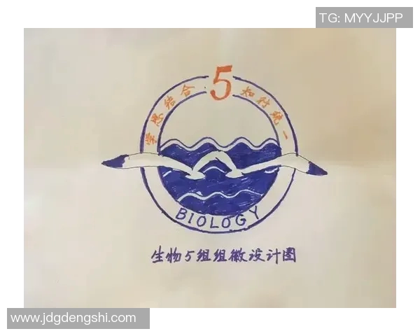 2008年全球篮球明星队徽汇总与解析展现各国风采与文化特色